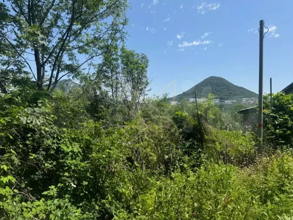 Участок 3,6 сот. (СНТ, ДНП) - Фото 0