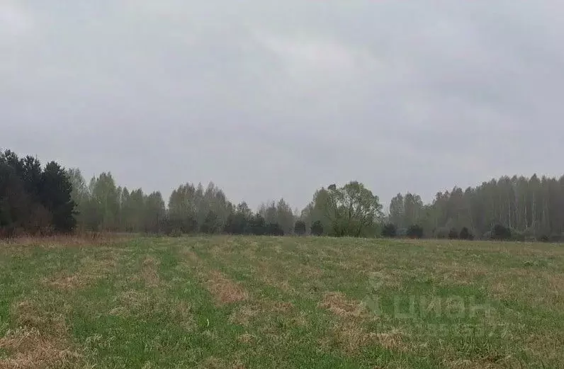 Участок в Московская область, Дмитровский муниципальный округ, д. ... - Фото 0
