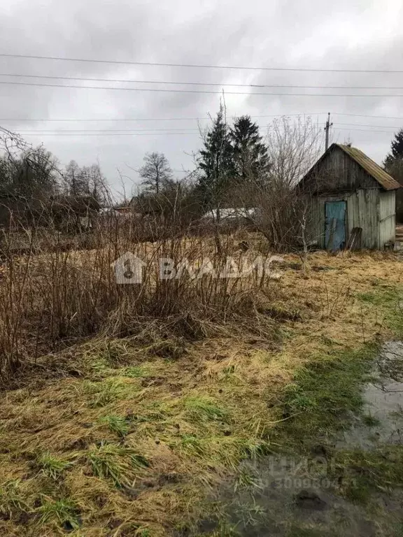 Участок в Калининградская область, Калининград Осень-Люблино СНТ, ... - Фото 1