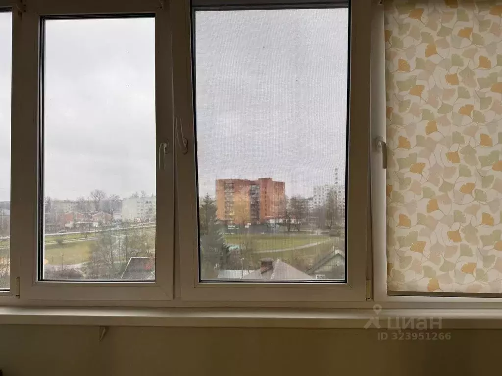 Студия Псковская область, Псков ул. Крупской, 28 (23.9 м) - Фото 1