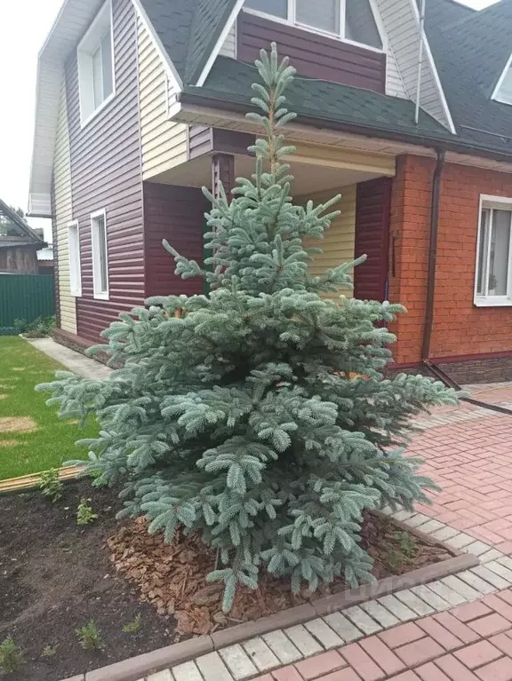 Дом в Томская область, Томск ул. Олега Кошевого, 16 (120 м) - Фото 2