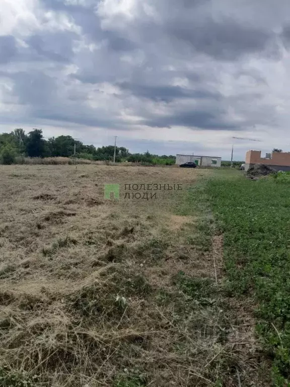 Участок в Белгородская область, Белгородский муниципальный округ, пос. ... - Фото 1