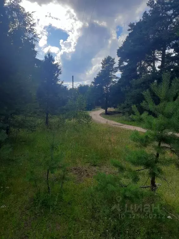 Дом в Вологодская область, Белозерский муниципальный округ, с. Зубово ... - Фото 2