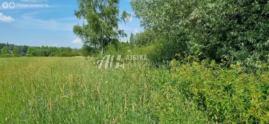 Участок в Одинцовский городской округ, деревня Рязань (8 м) - Фото 0