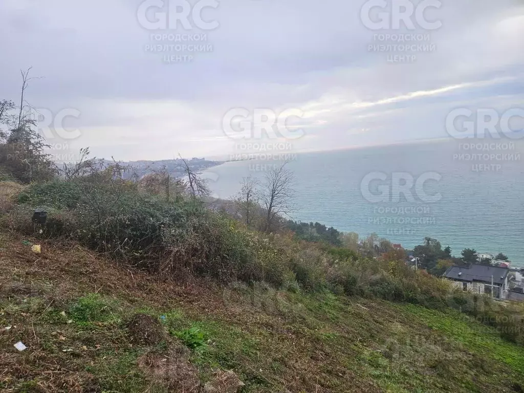 Участок в Краснодарский край, Сочи Ландыш садовое товарищество, 62 ... - Фото 2