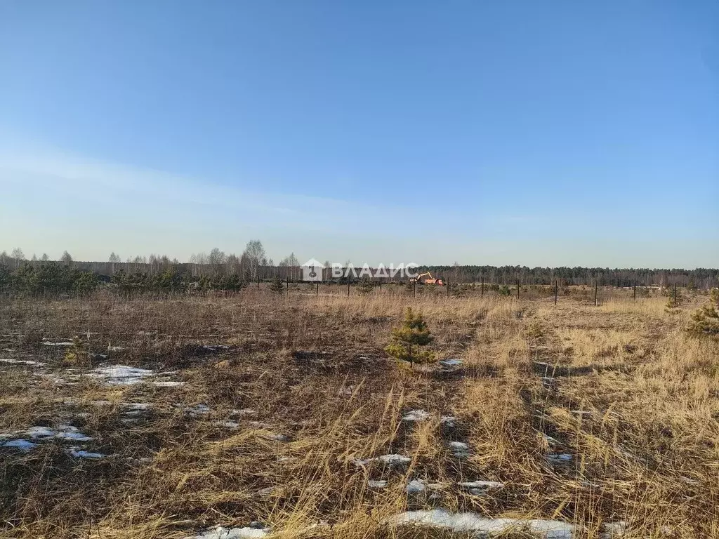 Участок в Московская область, Ногинск Богородский городской округ, ул. ... - Фото 1