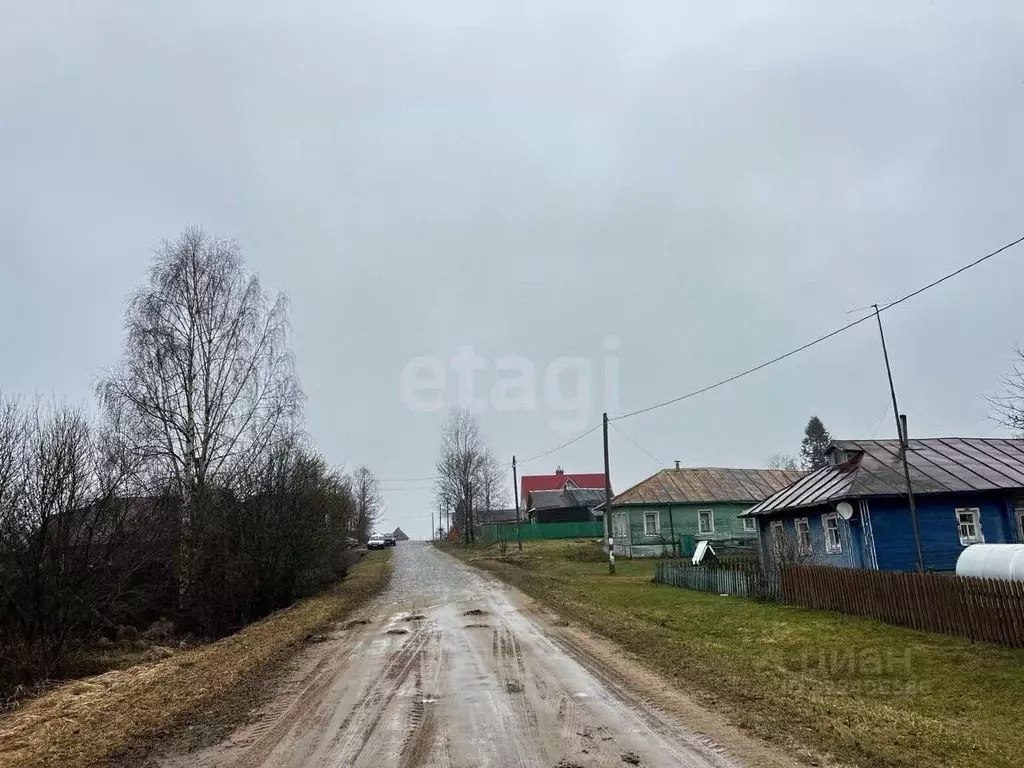 Участок в Вологодская область, д. Владычнево (Березниковский ... - Фото 1