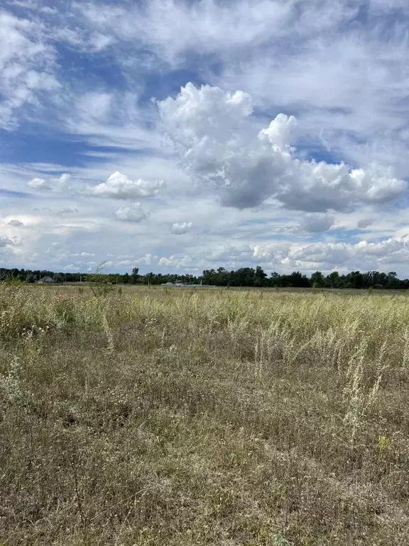 участок в самарская область, кинельский с/пос, пос. энергия ул. . - Фото 1