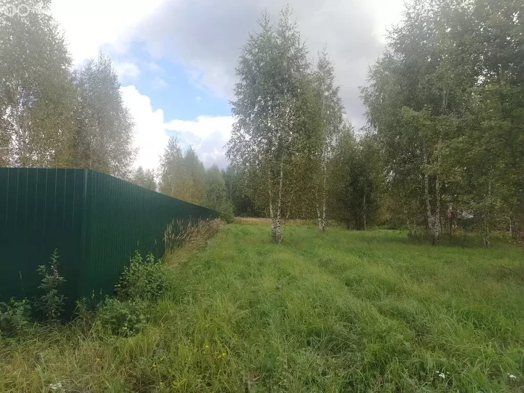 Участок в Московская область, Раменский муниципальный округ, квартал ... - Фото 1