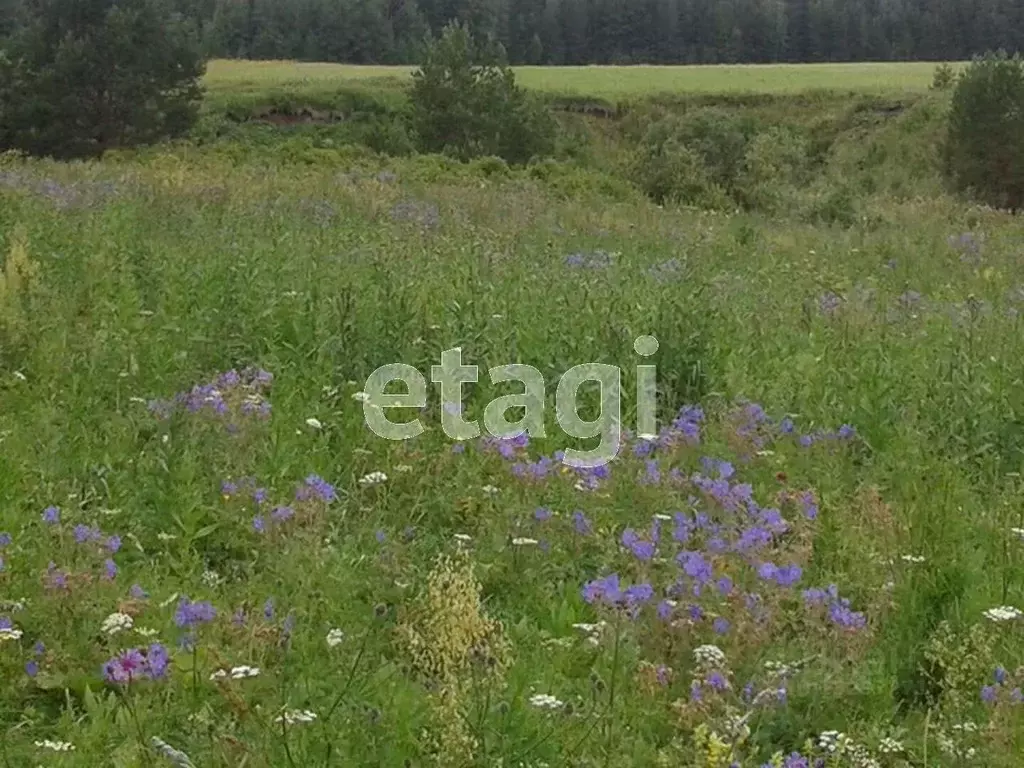 Участок в Свердловская область, Горноуральский городской округ, д. ... - Фото 1