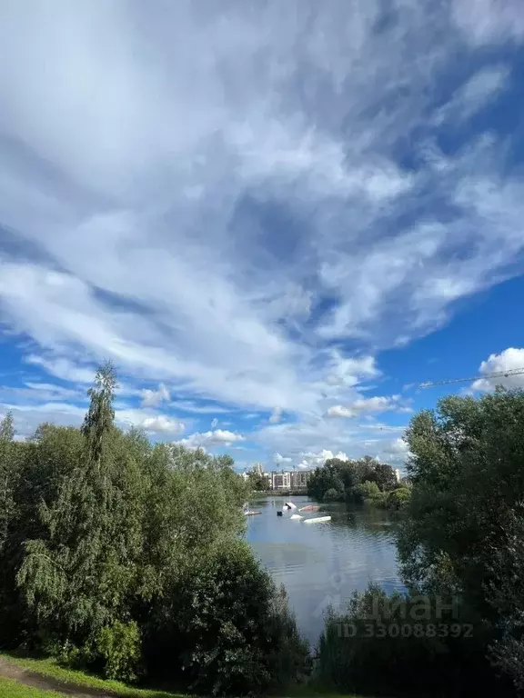 Студия Санкт-Петербург Ремесленная ул., 21 (24.0 м) - Фото 2