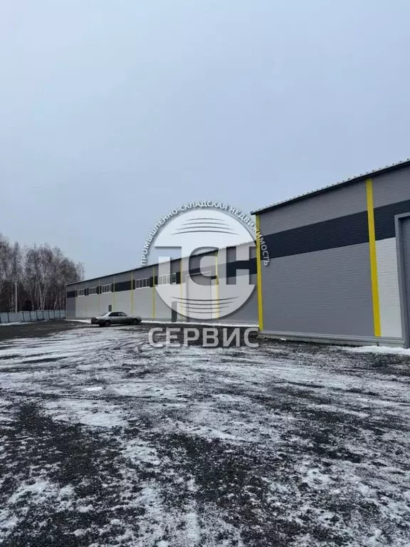 Склад в Московская область, Домодедово городской округ, д. Шахово 62 ... - Фото 2