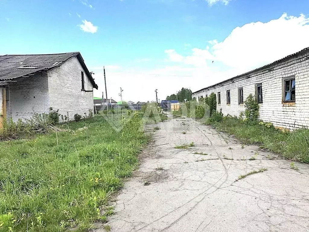 Склад в Брянская область, Унечский район, Ивайтенское с/пос, д. Новые ... - Фото 2