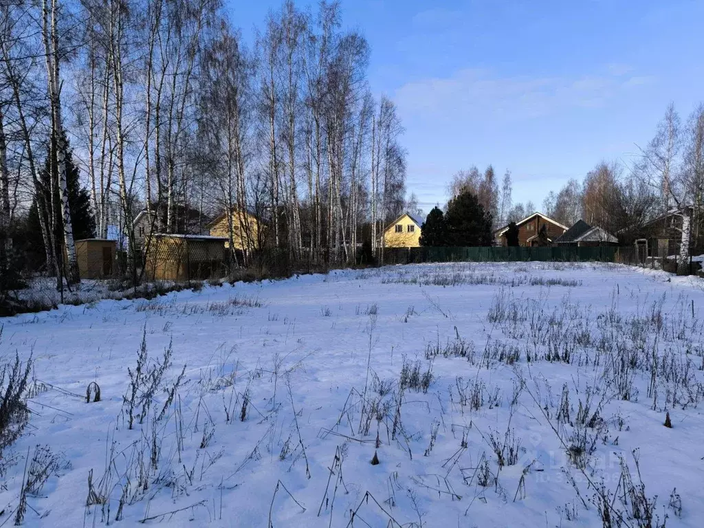 Участок в Московская область, Раменский муниципальный округ, д. Жирово ... - Фото 2