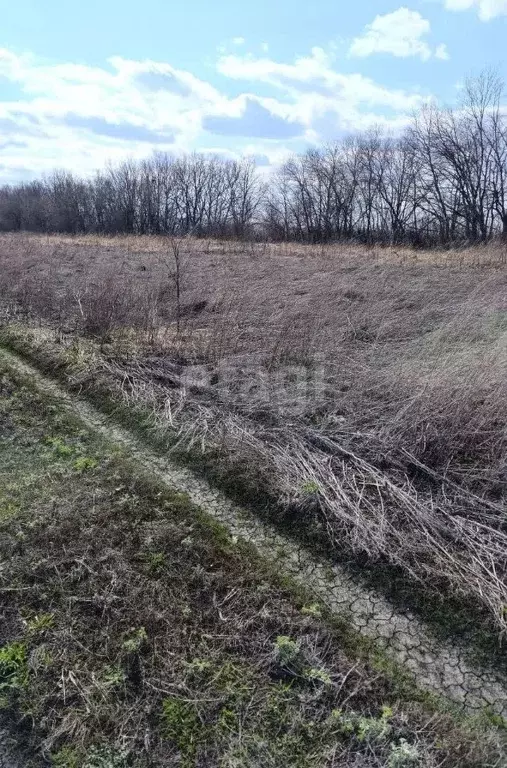Участок в Мордовия, Саранск городской округ, пос. Пушкино  (10.0 сот.) - Фото 1