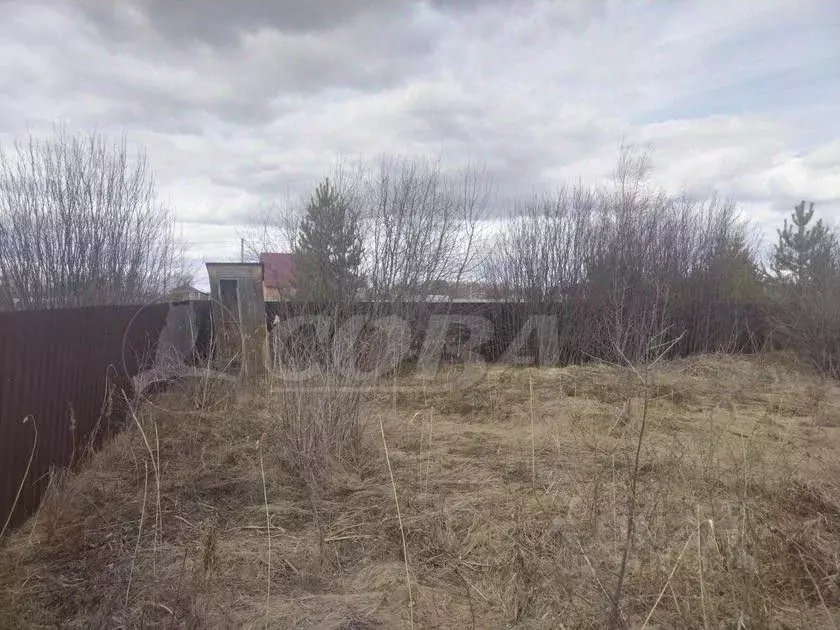 Участок в Тюменская область, Тюмень Большое Царево-1 ТСН,  (10.0 сот.) - Фото 1