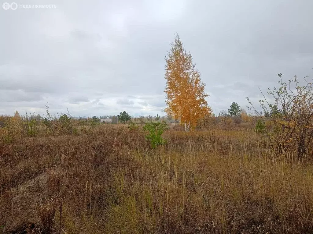 Участок в село Углянец, Центральная улица (10 м) - Фото 0