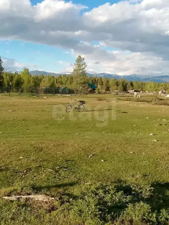 Участок в Алтай, Усть-Коксинский район, с. Верх-Уймон Заречная ул., 15 ... - Фото 1