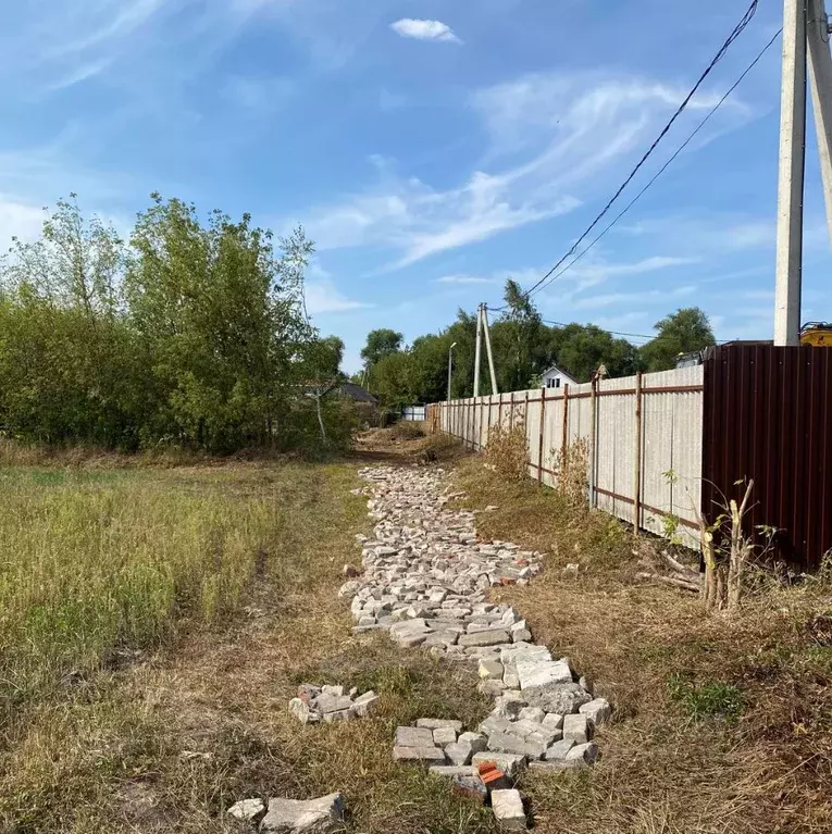 Участок в Воронежская область, Новоусманский район, с. Бабяково ... - Фото 1