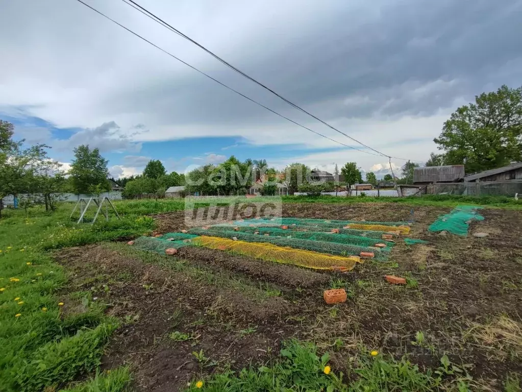Дом в Новгородская область, пос. Батецкий ул. Советская (42 м) - Фото 1