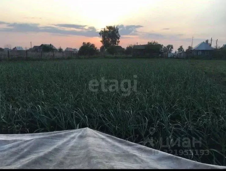 Участок в Башкортостан, Архангельский район, Ирныкшинский сельсовет, ... - Фото 1