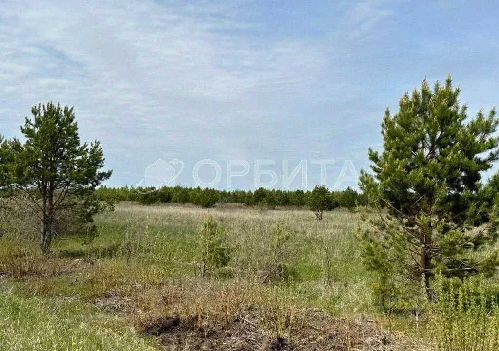Участок в Тюменская область, Тюменский район, д. Елань  (8.25 сот.) - Фото 1