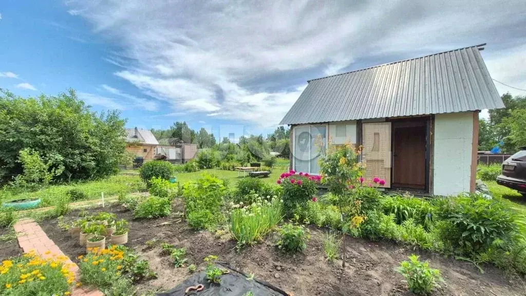 Дом в Новосибирская область, Коченевский район, Полянка СНТ  (27 м) - Фото 2