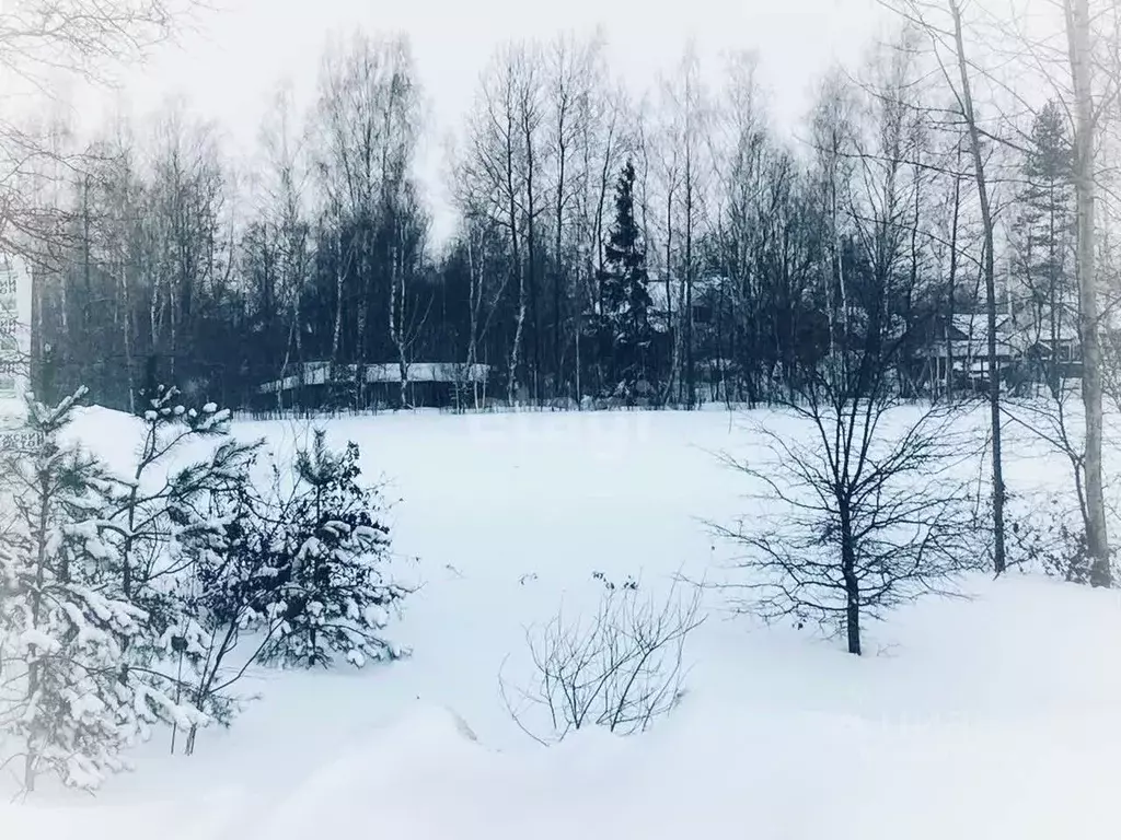 Участок в Калужская область, Калуга Секиотовская ул. (6.52 сот.) - Фото 1