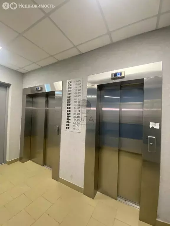 Квартира-студия: Мурино, Графская улица, 6к4 (22.8 м) - Фото 1