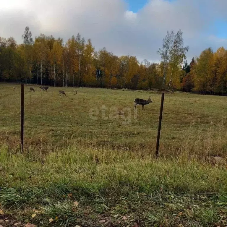 Участок в Московская область, Клин городской округ, Решетниково рп ул. ... - Фото 0