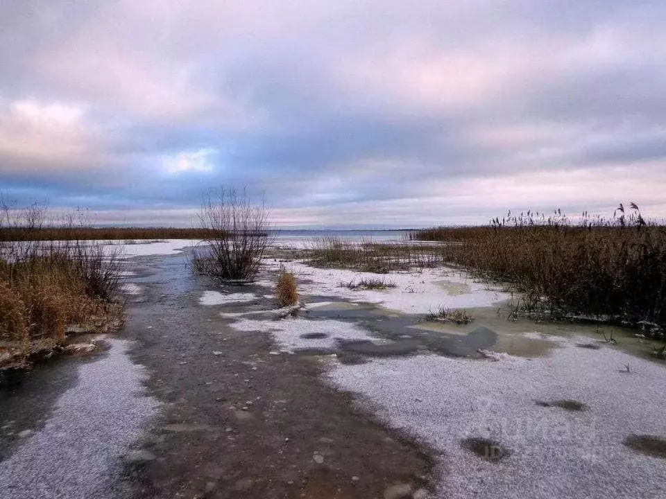 Участок в Псковская область, Печорский район, д. Кривск  (20.0 сот.) - Фото 0