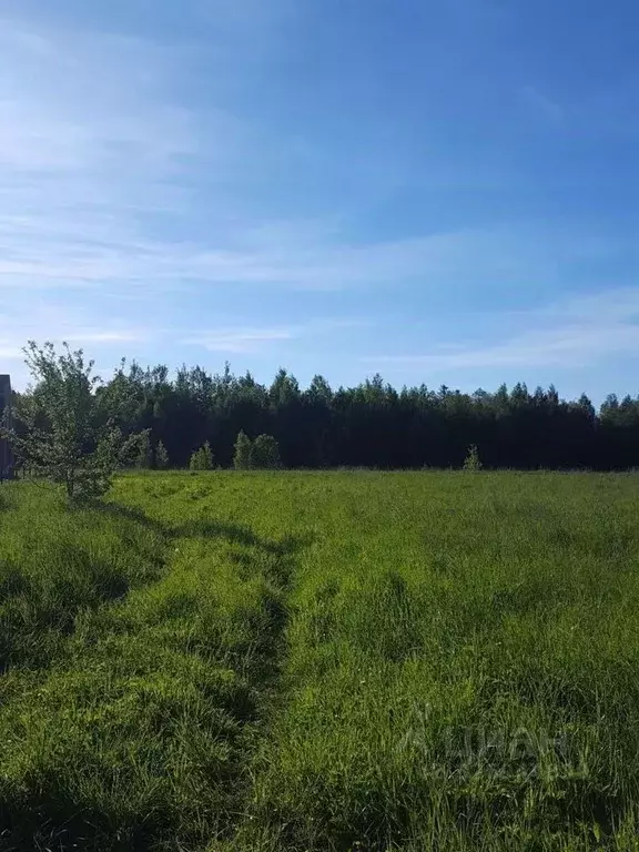 Участок в Ленинградская область, Волховский район, Кисельнинское ... - Фото 1