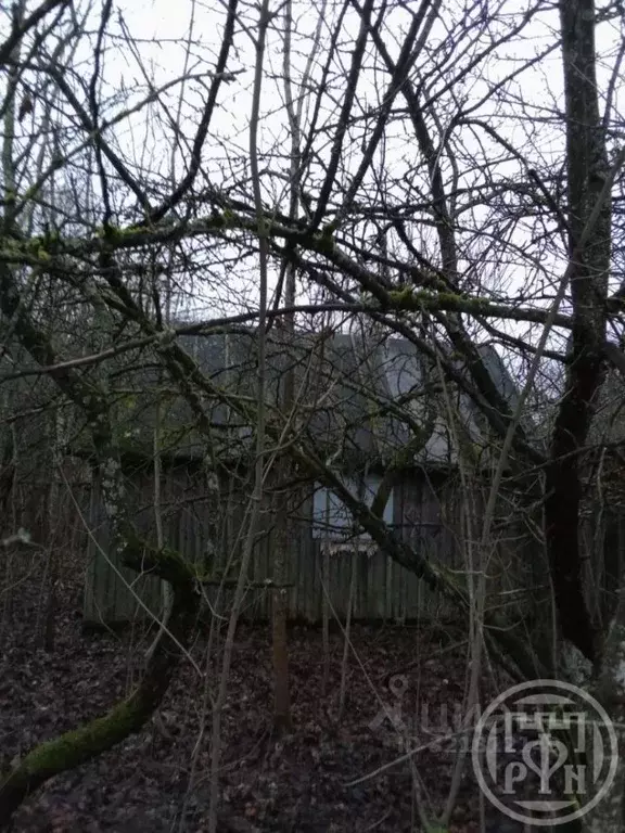 Дом в Ленинградская область, Лужский район, Володарское с/пос, д. ... - Фото 1