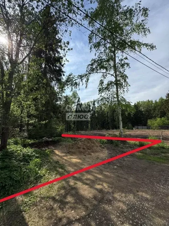 Участок в Московская область, Клин городской округ, пос. Зубово, Елки ... - Фото 2