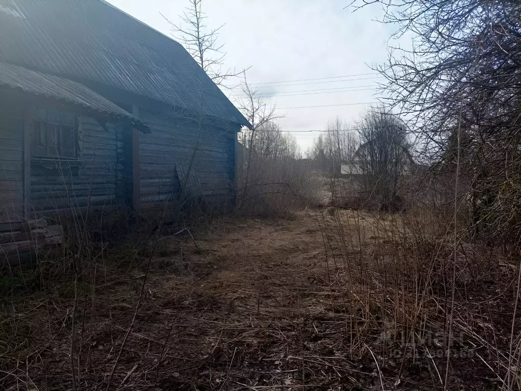 Участок в Владимирская область, Александровский район, Каринское ... - Фото 1