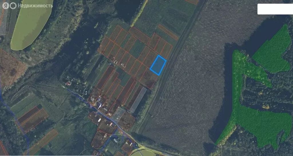 Участок в Орловский муниципальный округ, деревня Чаплыгино (25 м) - Фото 2