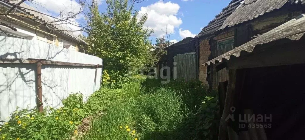 Дом в Белгородская область, Волоконовка рп ул. Гоголя (44 м) - Фото 1