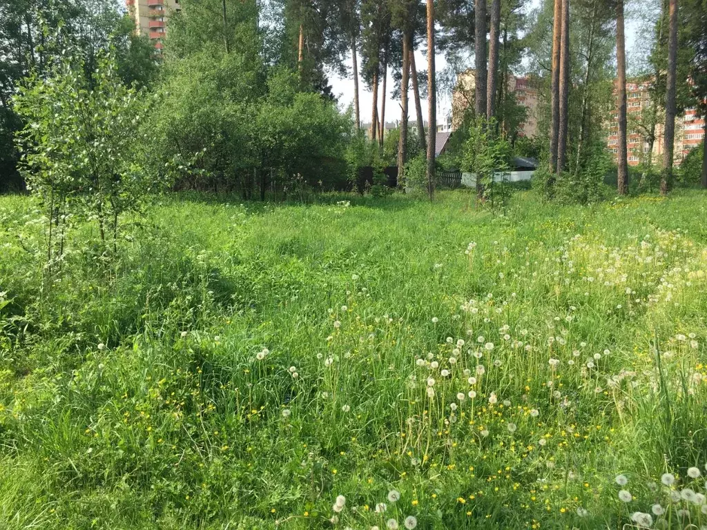 Участок в Московская область, Пушкинский городской округ, Лесной пгт  ... - Фото 1