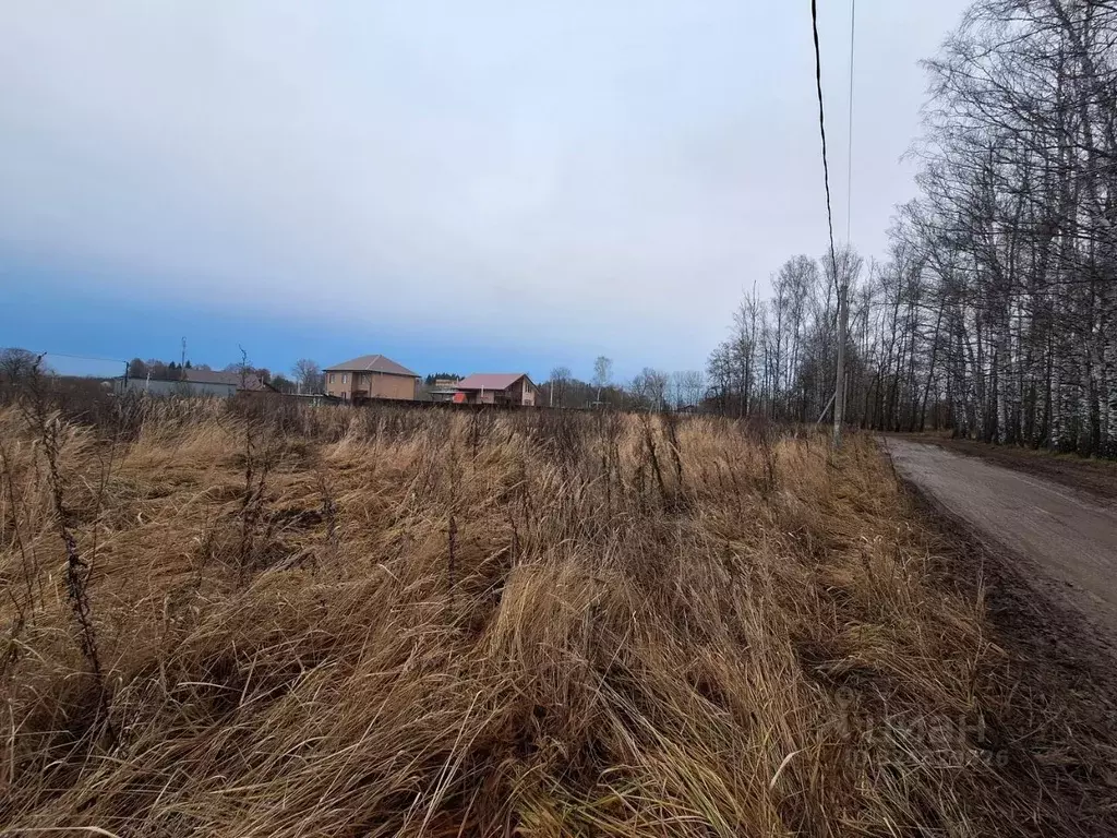 Участок в Тульская область, Ясногорский район, Иваньковское с/пос, с. ... - Фото 2