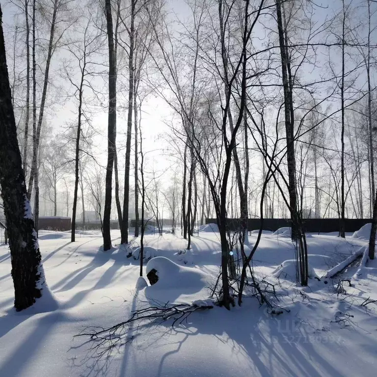 Участок в Московская область, Домодедово городской округ, д. ... - Фото 2