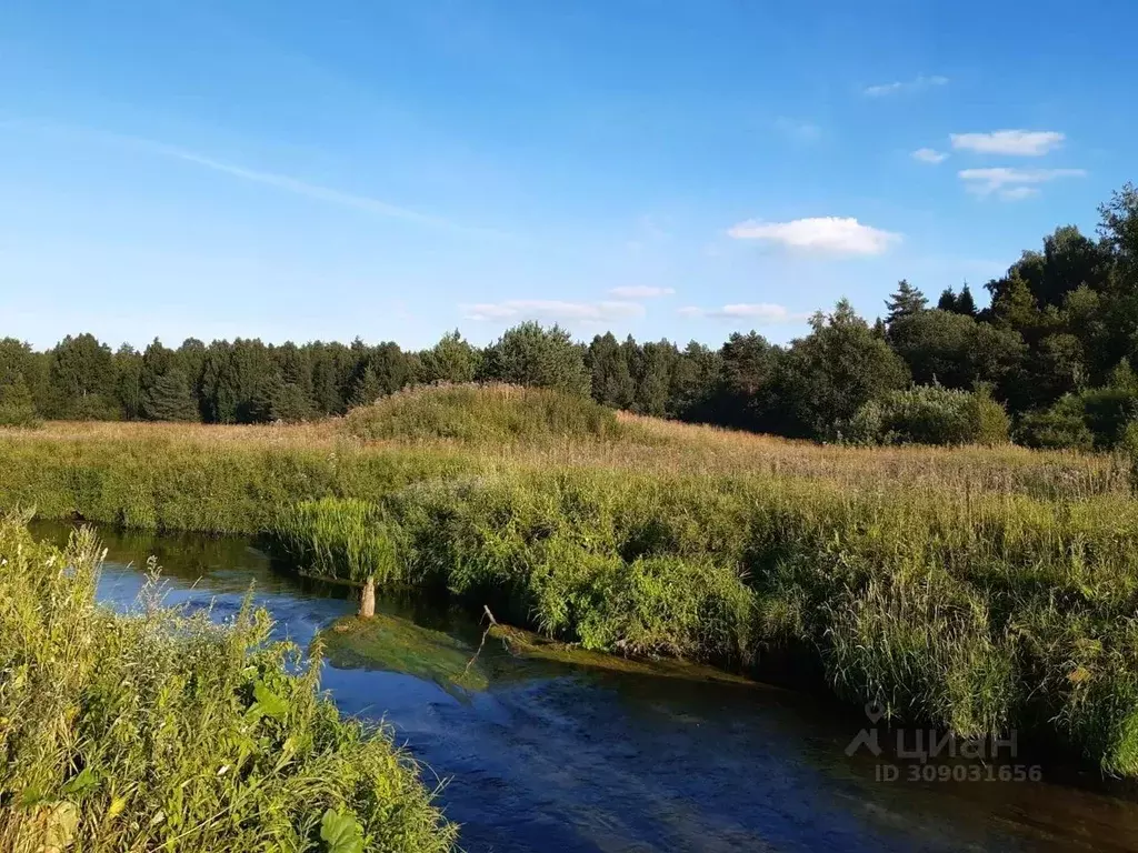 Участок в Кировская область, Слободской район, Шиховское с/пос, д. ... - Фото 1