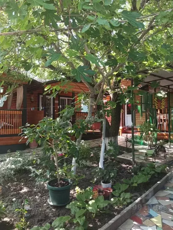 Комната Краснодарский край, Геленджик ул. Энгельса, 1 - Фото 1