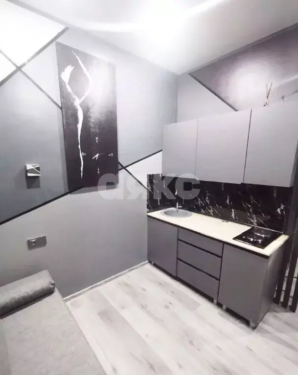 Студия Краснодарский край, Горячий Ключ ул. Ярославского, 132Р (14.0 ... - Фото 1