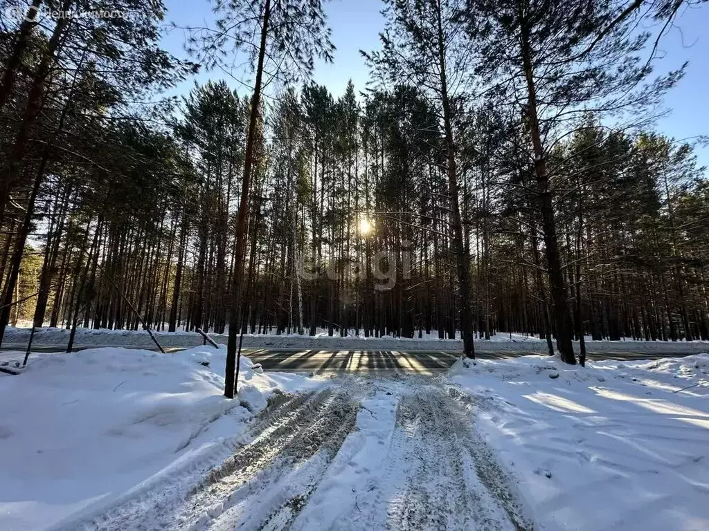 Участок в Зоркальцевское сельское поселение, поселок Кайдаловка (15 м) - Фото 0