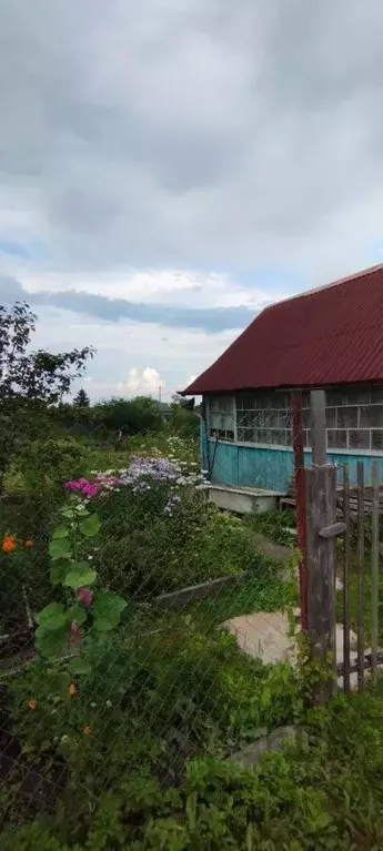 Участок в Новгородская область, Новгородский район, Панковское ... - Фото 1