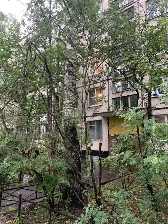 2-к кв. Санкт-Петербург ул. Козлова, 51К1 (46.2 м) - Фото 1