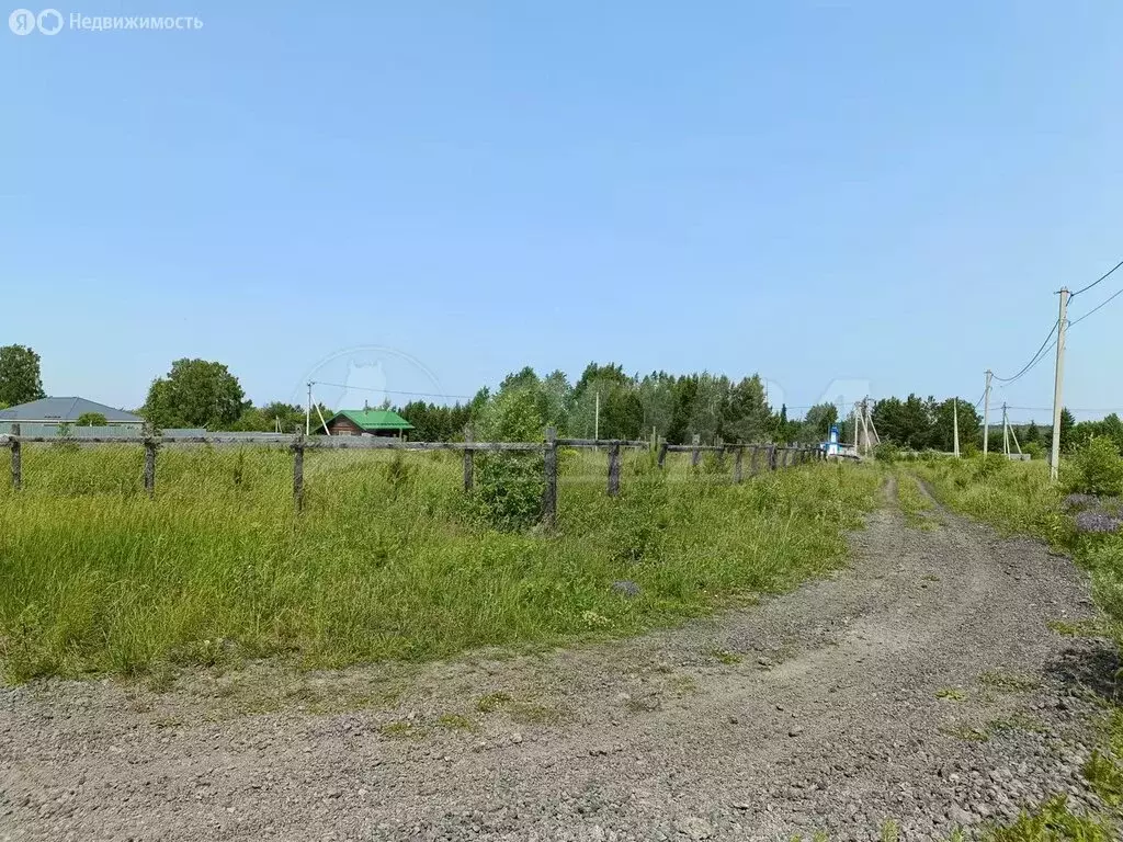 Участок в Усть-Ницинское сельское поселение, деревня Калугина (22 м) - Фото 2