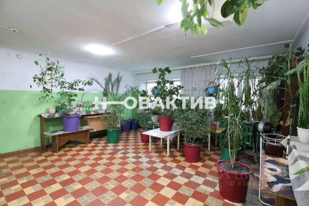 Комната Новосибирская область, Новосибирск ул. Римского-Корсакова, 3 ... - Фото 1