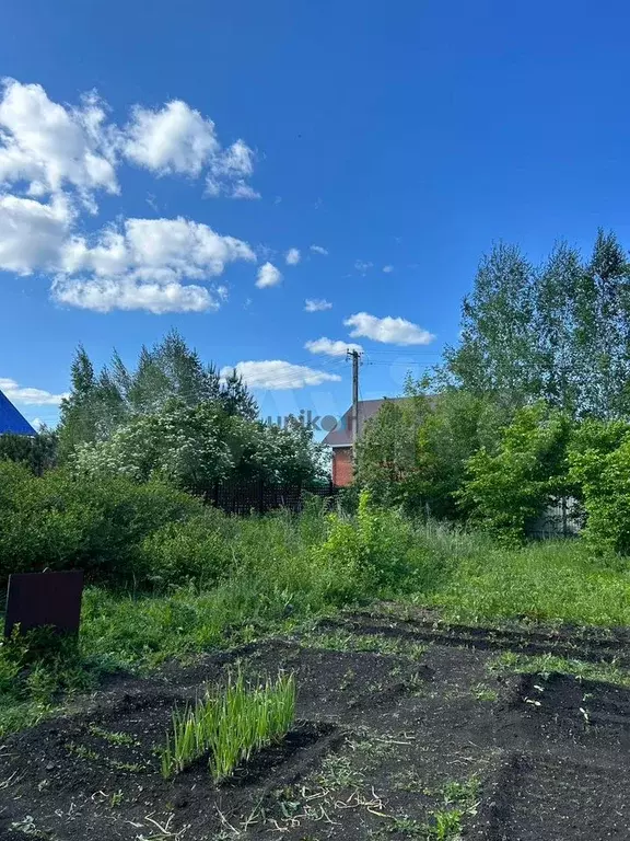 Участок 8,41 га (СНТ, ДНП) - Фото 1