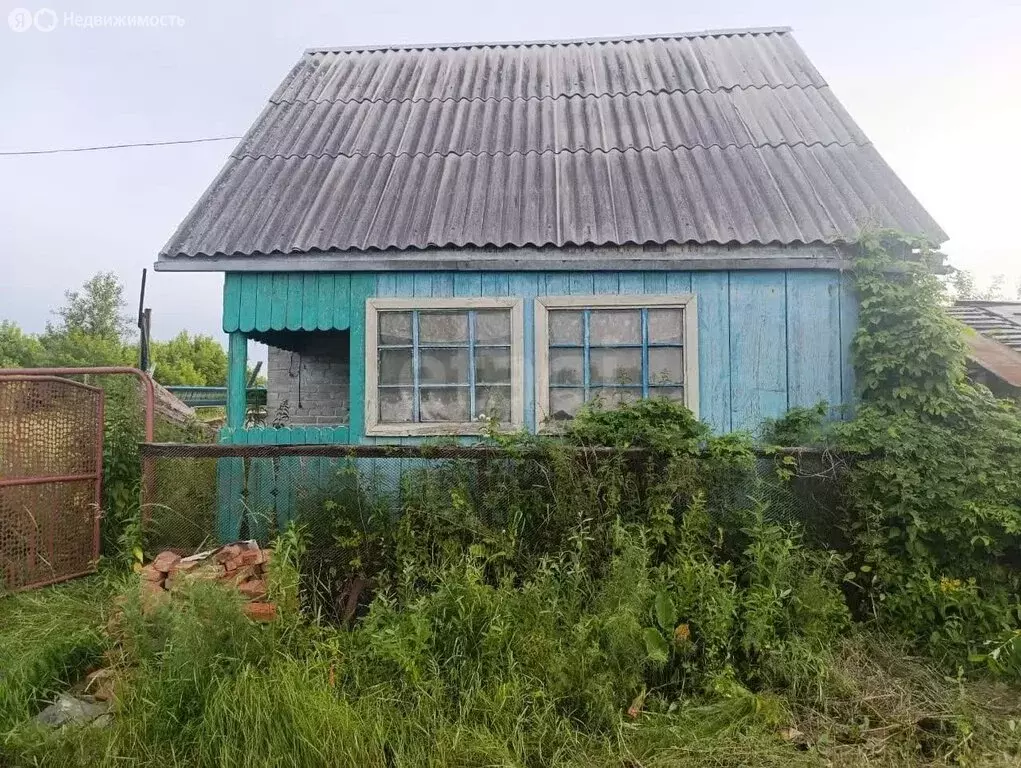 Дом в Курган, СНТ Зауральский Садовод, Калиновая улица (33 м) - Фото 1